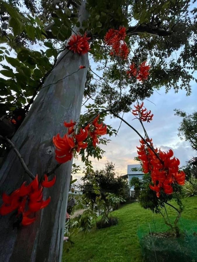 Tip House Villa Khao Kho Eksteriør billede