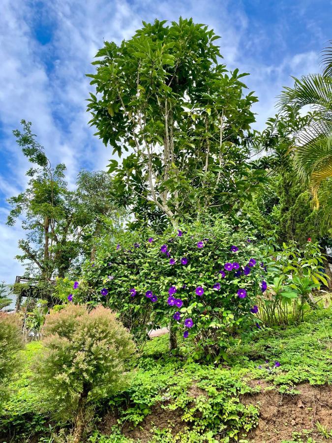 Tip House Villa Khao Kho Eksteriør billede